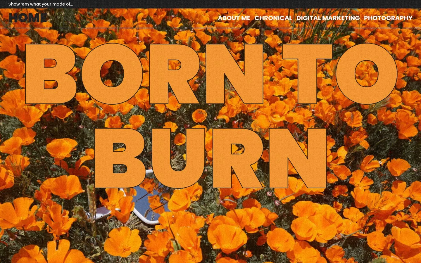 The original WordPress LordLonni.com homepage: a flat orange page with the Born to Burn heading
